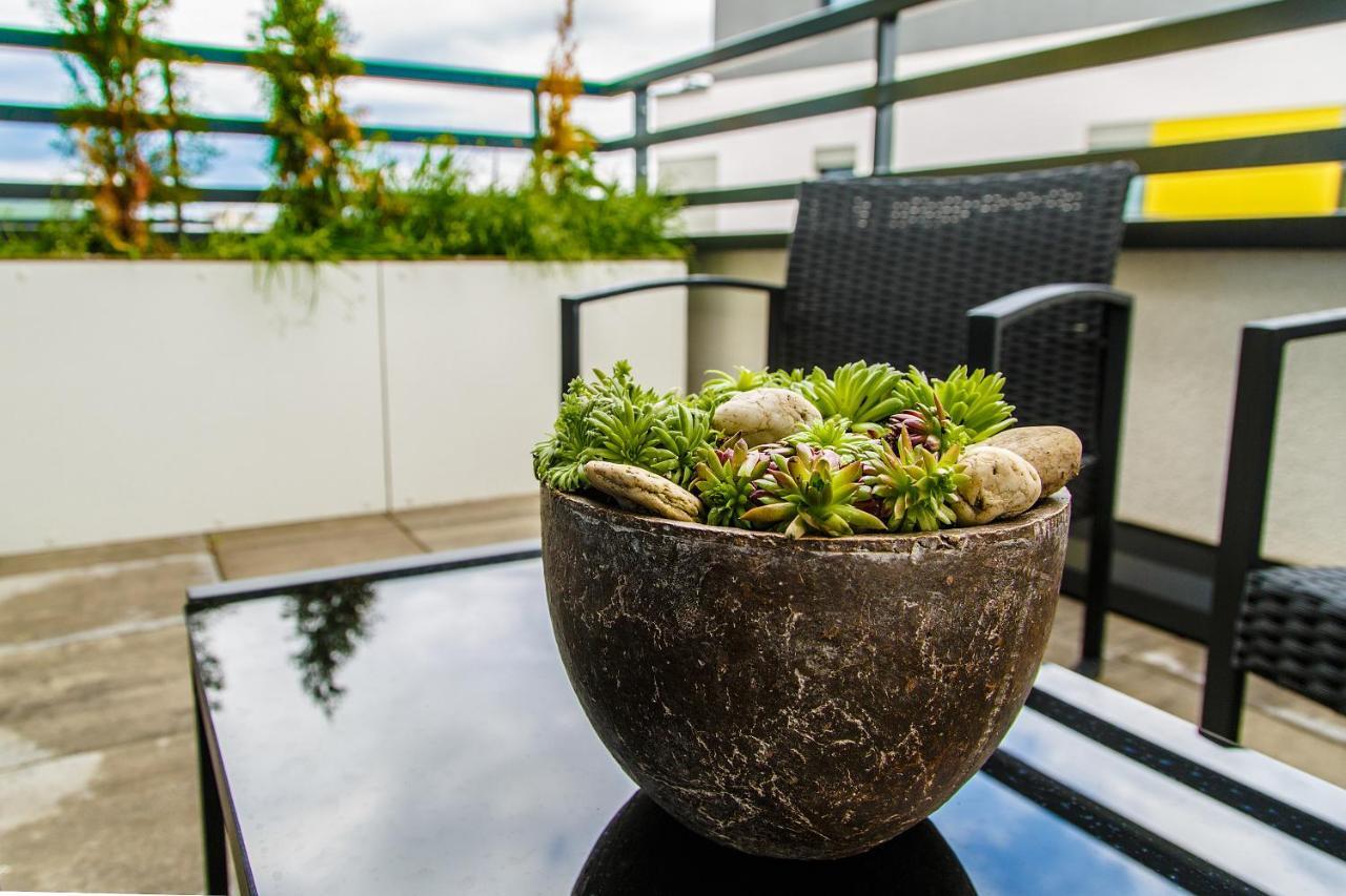 The Town Hall Residence -Welcome Home Apartment-Free Outdoor Parking-Ac 科希策 外观 照片